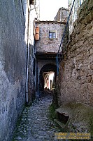 dscf0305.jpg