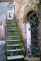 dscf0310.jpg