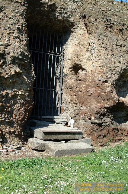 dscf0056.jpg