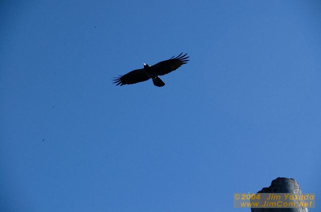 dscf0062.jpg