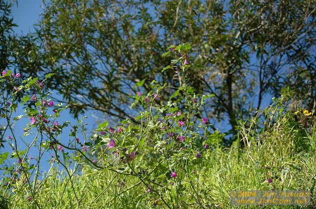 dscf0138.jpg