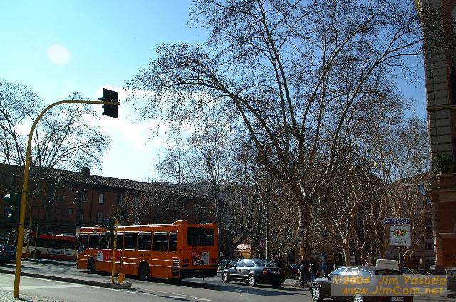dscf0164.jpg
