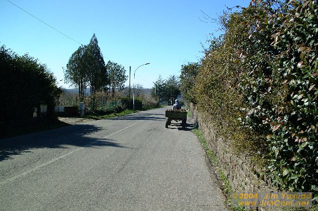 dscf0281.jpg