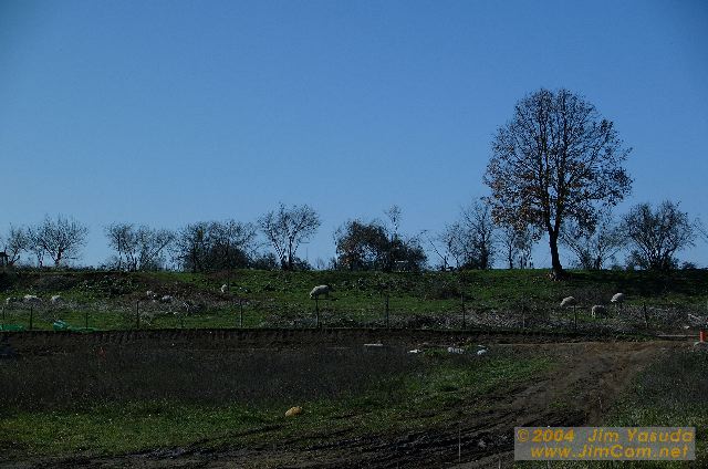 dscf0288.jpg