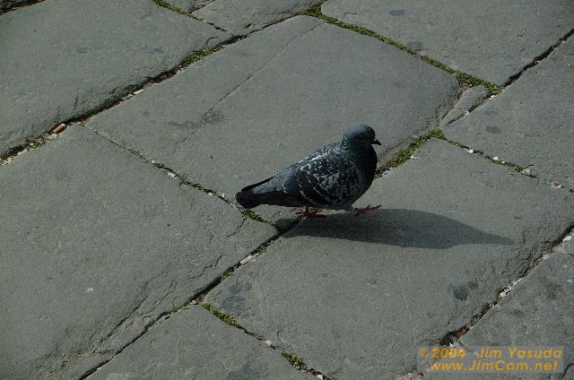 dscf1312.jpg