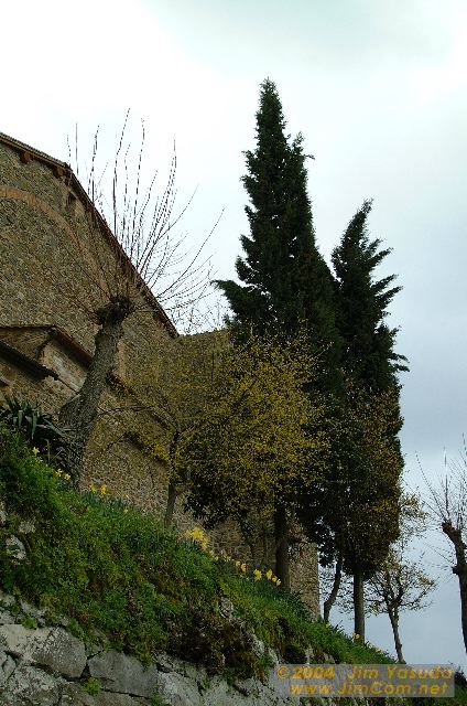 dscf1573.jpg