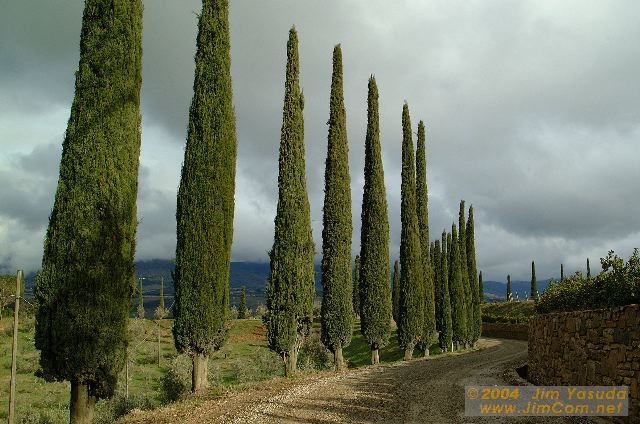 dscf1673.jpg