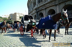 dscf0047.jpg