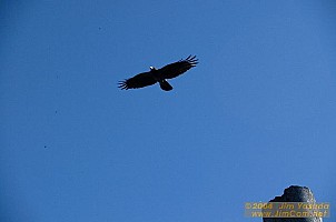 dscf0062.jpg