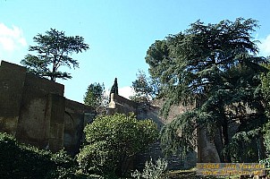 dscf0143.jpg
