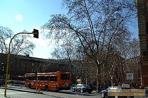 dscf0164.jpg