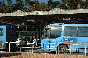 dscf0180.jpg