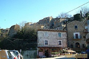 dscf0206.jpg