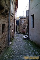 dscf0216.jpg