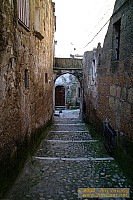 dscf0218.jpg