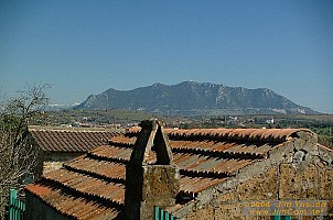 dscf0244.jpg