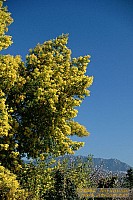 dscf0247.jpg
