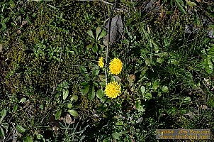 dscf0259.jpg