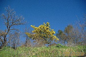dscf0278.jpg
