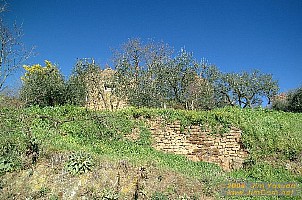 dscf0280.jpg