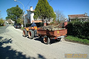 dscf0285.jpg