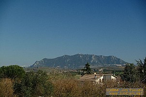 dscf0286.jpg