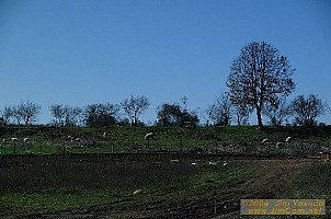 dscf0288.jpg