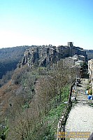 dscf0300.jpg