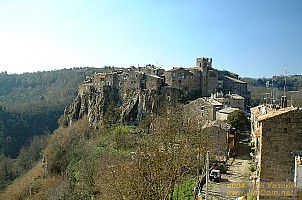 dscf0301.jpg