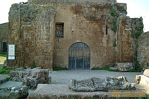 dscf0684.jpg