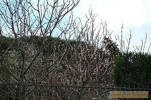 dscf0691.jpg