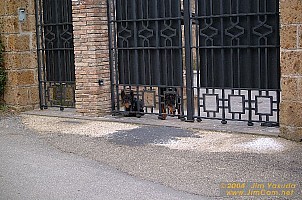 dscf0693.jpg