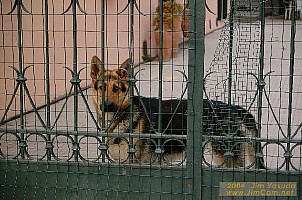 dscf0712.jpg