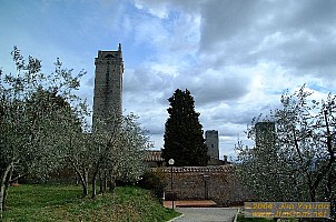 dscf1037.jpg