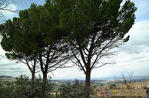 dscf1050.jpg