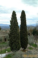 dscf1059.jpg