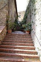 dscf1074.jpg