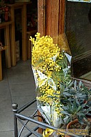 dscf1077.jpg