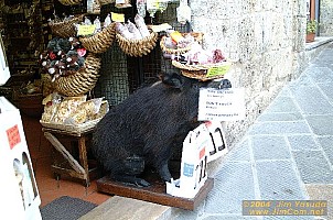 dscf1081.jpg