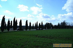 dscf1233.jpg