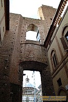 dscf1341.jpg