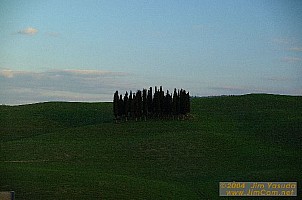 dscf1387.jpg