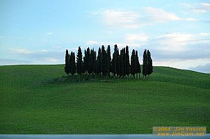 dscf1393.jpg