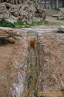 dscf1510.jpg