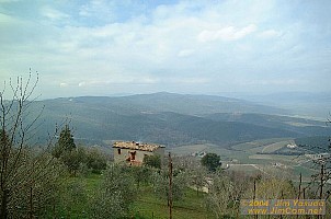 dscf1556.jpg