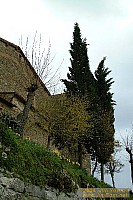 dscf1573.jpg
