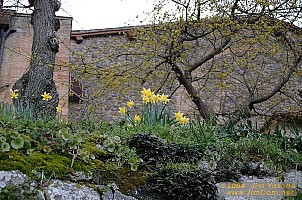 dscf1575.jpg