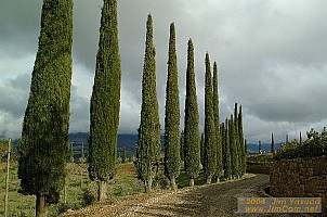 dscf1673.jpg