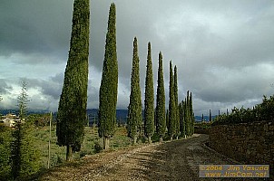 dscf1674.jpg