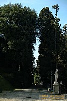 dscf1768.jpg